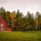 Discover Circle D Farm: Sustainable Farming Excellence | The Conscious Farmer | Sustainable Agriculture for a Healthier Planet