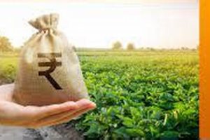 Best Farm Loan Calculator: Plan Your Farming Future | The Conscious Farmer | Sustainable Agriculture for a Healthier Planet
