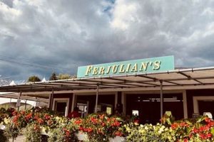 Visit Ferjulian's Farm: Fresh Local Farming! | The Conscious Farmer | Sustainable Agriculture for a Healthier Planet