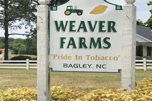 Discover Weaver Farms: Sustainable Farming Practices | The Conscious Farmer | Sustainable Agriculture for a Healthier Planet