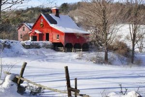 Discover Holiday Farms Near You: A Farming Escape | The Conscious Farmer | Sustainable Agriculture for a Healthier Planet