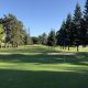 Play Premier Blackberry Farm Golf Course: A Tennessee Gem | The Conscious Farmer | Sustainable Agriculture for a Healthier Planet