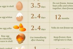 Farming: How Long Do Farm Fresh Eggs Last in Fridge? Guide | The Conscious Farmer | Sustainable Agriculture for a Healthier Planet