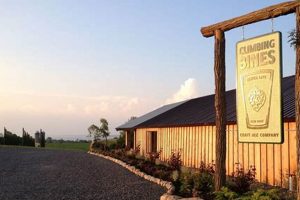 [Farming] Our Climbing Bines Hop Farm & Brewery: Local Brews! | The Conscious Farmer | Sustainable Agriculture for a Healthier Planet