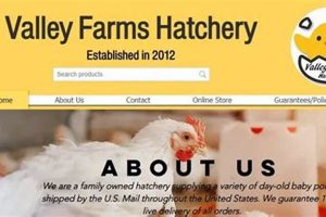 Boost Your Farm: Valley Farms Hatchery Chicks & More! | The Conscious Farmer | Sustainable Agriculture for a Healthier Planet
