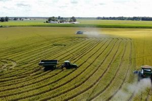 Local Isbell Farms: Fresh Harvest, Sustainable Future | The Conscious Farmer | Sustainable Agriculture for a Healthier Planet