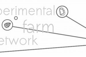 Grow with the Experimental Farm Network: A Farmers Guide | The Conscious Farmer | Sustainable Agriculture for a Healthier Planet