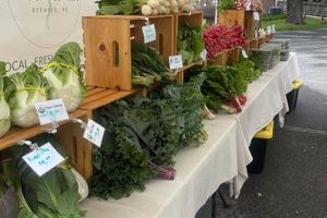 Grow a Common Root Farm: Tips & Best Practices | The Conscious Farmer | Sustainable Agriculture for a Healthier Planet