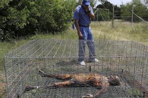 Unearthing Body Farms: Where Are They Located? | The Conscious Farmer | Sustainable Agriculture for a Healthier Planet