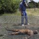 Unearthing Body Farms: Where Are They Located? | The Conscious Farmer | Sustainable Agriculture for a Healthier Planet