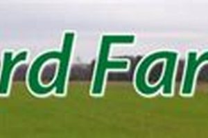 Your Local Langford Farms Source: Fresh & More! | The Conscious Farmer | Sustainable Agriculture for a Healthier Planet