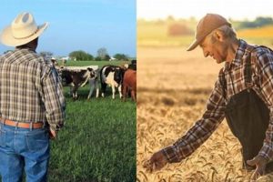 Rancher vs Farmer: Know Difference | Guide | The Conscious Farmer | Sustainable Agriculture for a Healthier Planet