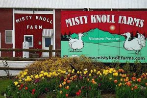 Visit Misty Knoll Farm: A Scenic Farming Escape | The Conscious Farmer | Sustainable Agriculture for a Healthier Planet
