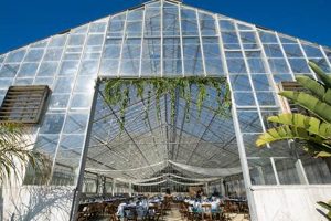 Discover Dos Pueblos Orchid Farm: Blooms & Beauty! | The Conscious Farmer | Sustainable Agriculture for a Healthier Planet