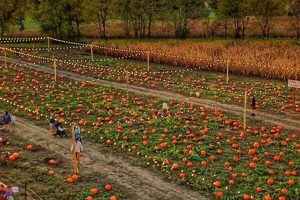 Visit Hogan Farms Pumpkin Patch: A Fall Family Fun! | The Conscious Farmer | Sustainable Agriculture for a Healthier Planet