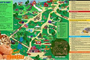 Visit Lucky Ladd Farm: A Fun Family Farming Day! | The Conscious Farmer | Sustainable Agriculture for a Healthier Planet