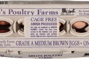 Milo's Poultry Farms Eggs: Fresh, Farm-to-Table Goodness | The Conscious Farmer | Sustainable Agriculture for a Healthier Planet
