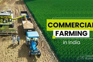 Understanding What is Commercial Farming? | Guide | The Conscious Farmer | Sustainable Agriculture for a Healthier Planet