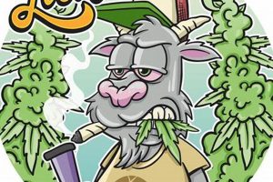 Discover Lost Oak Farms: Sustainable Farming Practices | The Conscious Farmer | Sustainable Agriculture for a Healthier Planet