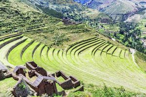 Unlocking Inca Terrace Farming: Ancient Farming | The Conscious Farmer | Sustainable Agriculture for a Healthier Planet