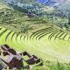 Unlocking Inca Terrace Farming: Ancient Farming | The Conscious Farmer | Sustainable Agriculture for a Healthier Planet