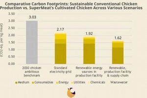 Top Most Efficient Farm Animals: Breeds & Tips | The Conscious Farmer | Sustainable Agriculture for a Healthier Planet