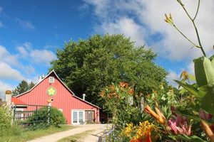 Cultivating a Thriving Squash Blossom Farm: Tips &amp; Secrets | The Conscious Farmer | Sustainable Agriculture for a Healthier Planet