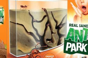 Build Your Own: An Amazing Ant Farm for Ants Guide! | The Conscious Farmer | Sustainable Agriculture for a Healthier Planet