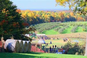 Maple Side Farms: Syrup & Sustainable Farming | The Conscious Farmer | Sustainable Agriculture for a Healthier Planet