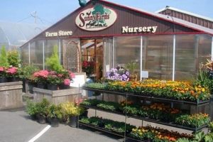 Discover Sunny Farms Sequim: Your Local Harvest | The Conscious Farmer | Sustainable Agriculture for a Healthier Planet