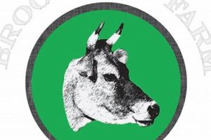 Explore Brookford Farm: Sustainable Farming Today | The Conscious Farmer | Sustainable Agriculture for a Healthier Planet