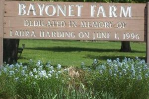 Discover Bayonet Farm: Local Farming Done Right | The Conscious Farmer | Sustainable Agriculture for a Healthier Planet