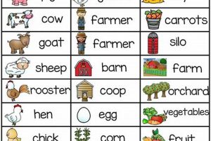 Beyond Farm Words: Farming's Lexicon Explained | The Conscious Farmer | Sustainable Agriculture for a Healthier Planet