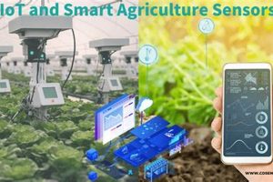 Top-Rated Best Smart Sensors for Farming: Guide | The Conscious Farmer | Sustainable Agriculture for a Healthier Planet