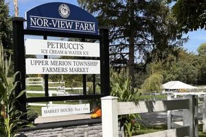 Your Guide to Norview Farm: More Than Farming! | The Conscious Farmer | Sustainable Agriculture for a Healthier Planet