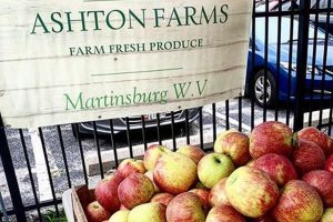 Discover Ashton Farms: Fresh Produce & More! | The Conscious Farmer | Sustainable Agriculture for a Healthier Planet
