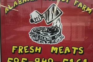 Basom NY's Alabama Holley Farms: Local Produce & More! | The Conscious Farmer | Sustainable Agriculture for a Healthier Planet