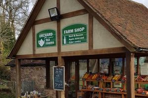 Discover Perryhill Farm: Sustainable Farming Today | The Conscious Farmer | Sustainable Agriculture for a Healthier Planet