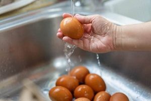 Easy How to Wash Farm Eggs: Freshness Guide | The Conscious Farmer | Sustainable Agriculture for a Healthier Planet