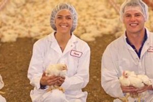 Working at Foster Farms: Employee Guide &amp; Info | The Conscious Farmer | Sustainable Agriculture for a Healthier Planet