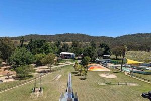 Your Guide to Green Valley Farm: Sustainable Farming | The Conscious Farmer | Sustainable Agriculture for a Healthier Planet