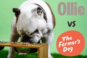 Fresh Face-Off: Farmer's Dog vs Ollie Dog Food | The Conscious Farmer | Sustainable Agriculture for a Healthier Planet