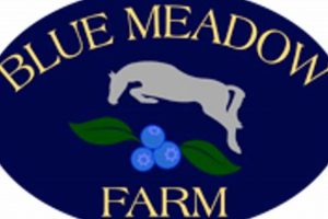 Discover Blue Meadow Farm: Sustainable Farming Bliss | The Conscious Farmer | Sustainable Agriculture for a Healthier Planet