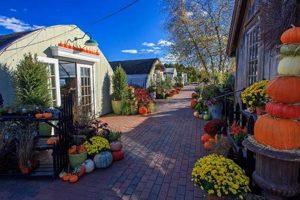 Unlocking "Farmer's Daughter Ri": Probability & Farming | The Conscious Farmer | Sustainable Agriculture for a Healthier Planet
