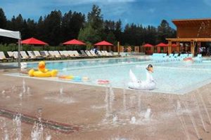 Your Nelson Farm Pool: [Tips &amp; Safety] | The Conscious Farmer | Sustainable Agriculture for a Healthier Planet