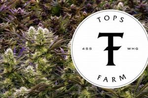 Discover Tops Farm Fresh Produce & More | The Conscious Farmer | Sustainable Agriculture for a Healthier Planet