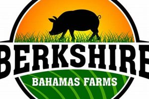 Guide to Berkshire Farms: Quality Pork & More The Conscious Farmer | Sustainable Agriculture for a Healthier Planet Guide to Berkshire Farms: Quality Pork & More | The Conscious Farmer | Sustainable Agriculture for a Healthier Planet