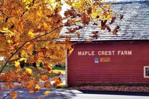 Visit Maple Crest Farm: Fresh Farm Products & More! | The Conscious Farmer | Sustainable Agriculture for a Healthier Planet