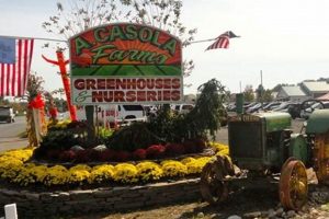 Visit Casola Farms: Fresh, Local & Fun! | The Conscious Farmer | Sustainable Agriculture for a Healthier Planet