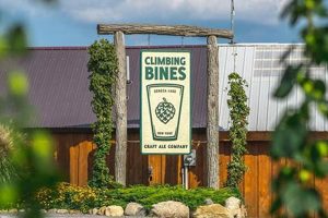 Grow Your Own: Climbing Bines Hop Farm Guide | The Conscious Farmer | Sustainable Agriculture for a Healthier Planet
